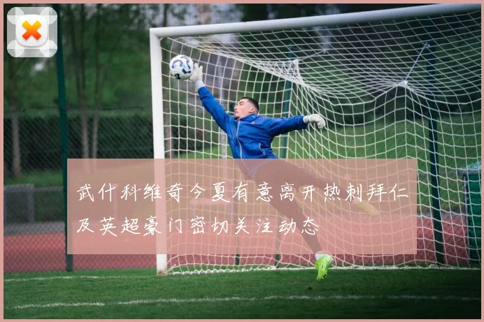 武什科维奇今夏有意离开热刺拜仁及英超豪门密切关注动态